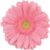 light pink flower